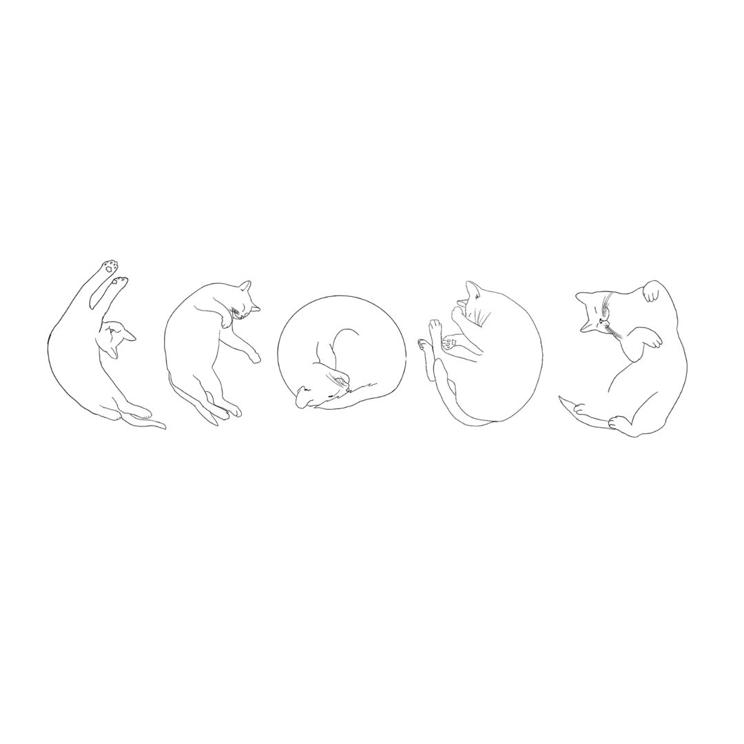 Moon Phase Cat Tee – Minimalist Line Art