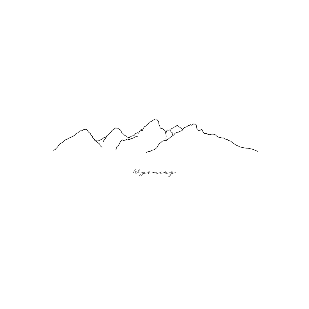 Minimalist Wyoming Mountain Line Art T-Shirt