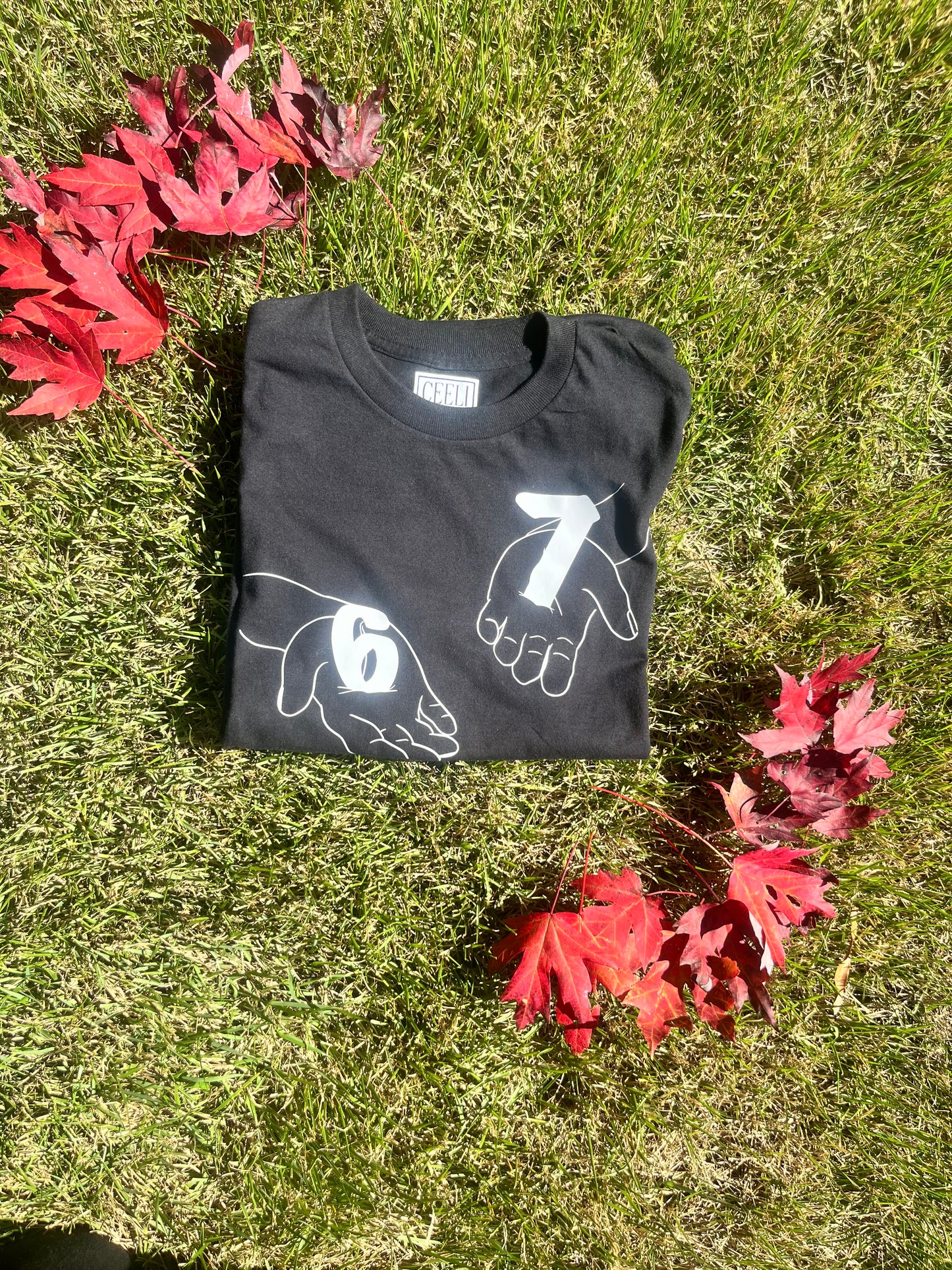 67 Meme Unisex T-Shirt